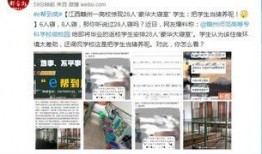 赣州高校爆料案件真相最新,揭开校园疑云背后的惊人内幕